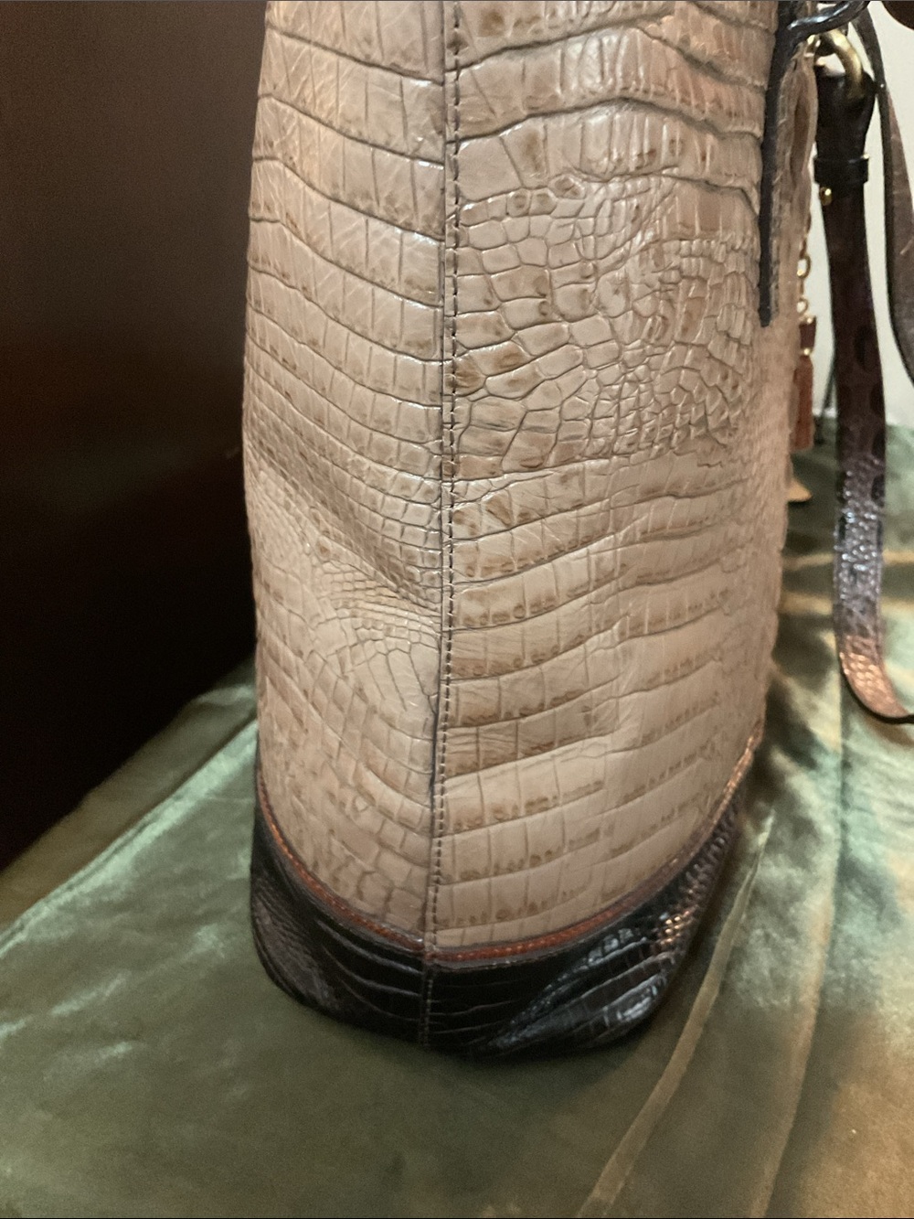 Brahmin Asher Taupe Croc-Embossed Tote with Dark Brown Trim and Gold Accents - Picture 7 of 12